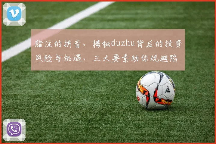 赌注的拼音，揭秘duzhu背后的投资风险与机遇，三大要素助你规避陷阱，稳中求胜