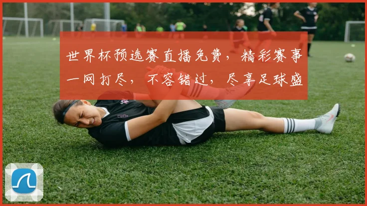 世界杯预选赛直播免费，精彩赛事一网打尽，不容错过，尽享足球盛宴